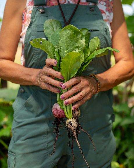 a person holding radishes in their hands