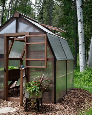 a small greenhouse in the middle of a forest